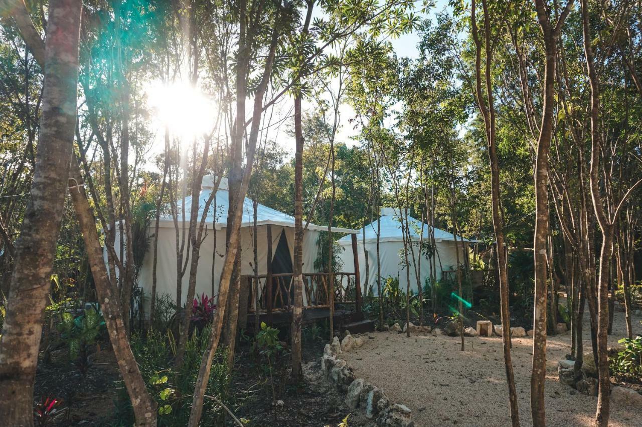 Апартаменты Huaya Camp Плая-дель-Кармен Экстерьер фото