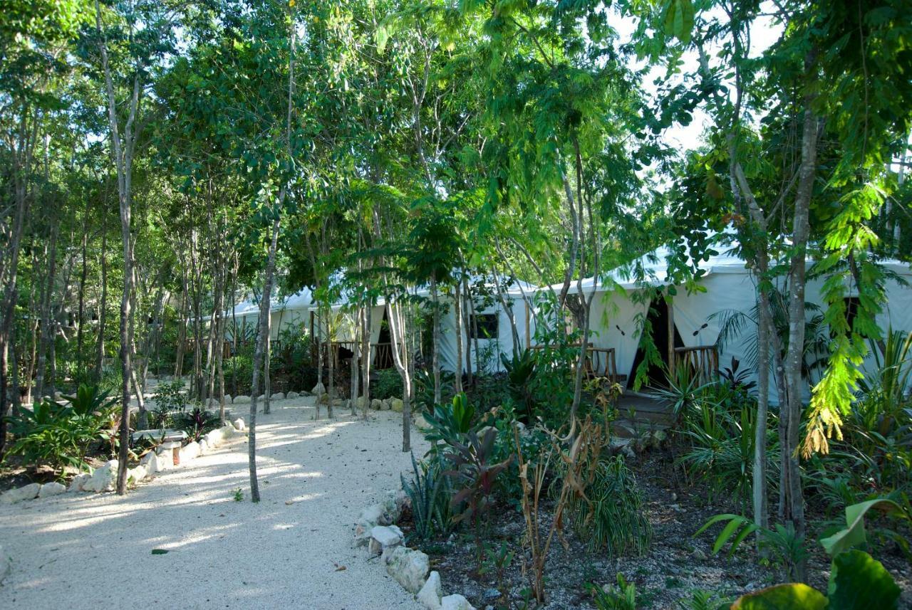 Апартаменты Huaya Camp Плая-дель-Кармен Экстерьер фото